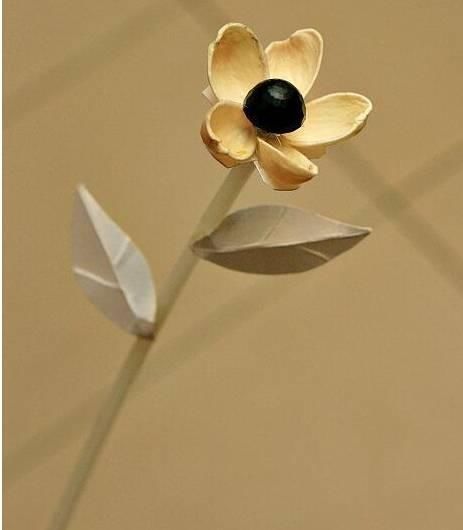 保证|吃完的坚果不能丢,坚果壳变身记,保证创意一箩筐