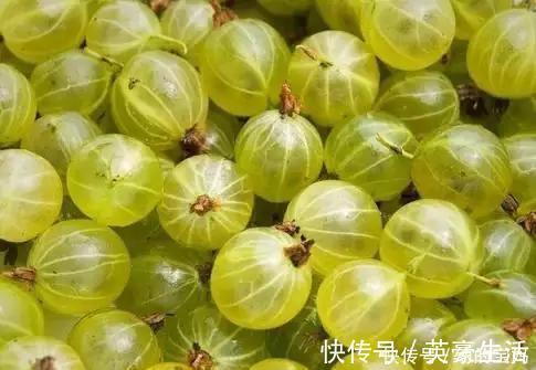 维生素c|女性想要皮肤好,推荐以下食物,排出毒素,补血益气,延缓衰老