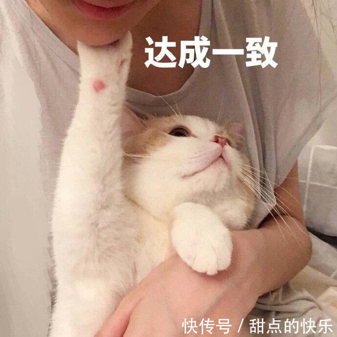 |搞笑GIF:一个父亲的承诺,不管怎样都要给孩子带回家