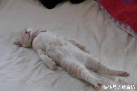 错位|超喜感的错位拍摄，老爹，我把你拎起来了~。