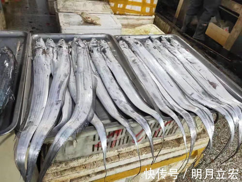 海鲜|过年买带鱼，先别管价格，见到这4种要留心，为了家人白给也不要