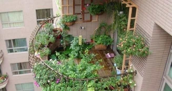阳台|建议阳台不要塞一大堆花盆了瞧瞧下图这布置,高级美观不占地