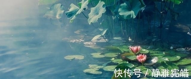 孔子@庄子:有一种失传的“混沌氏之术”,诚到极致,没有做不成的事