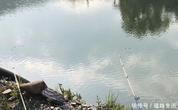 黄颡鱼|夏天野钓黄鸭叫,就用这种钓法,省事省力,收获有保证