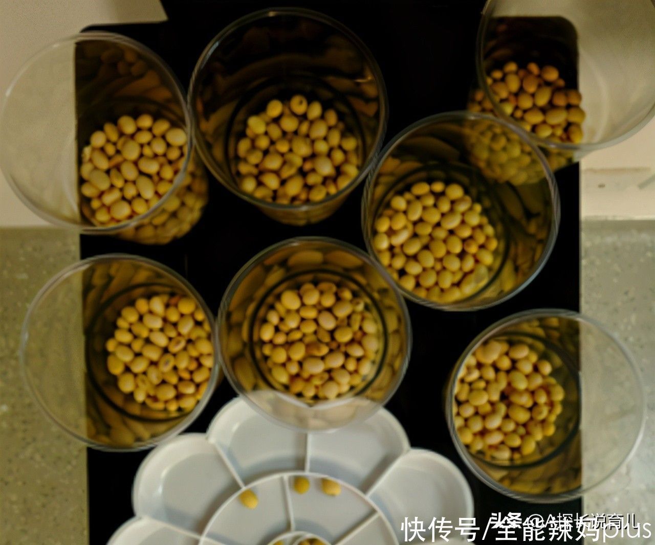 孩子|“暑假作业带一万粒大米”宝妈陪娃数到半夜,质问老师遭“打脸”