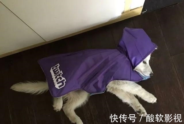 垃圾|家里的垃圾别急着扔！来看看这些网友的“爆改”脑洞