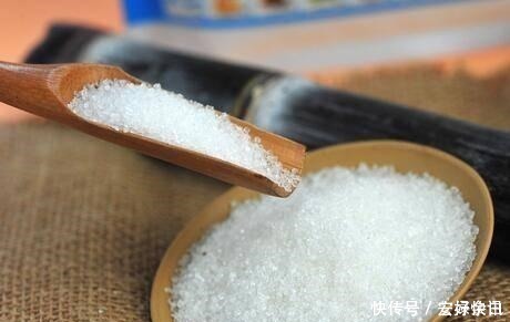 根部|生根剂不用买,家中都有的材料泡一泡,多蔫的花都根状叶绿爆满盆!