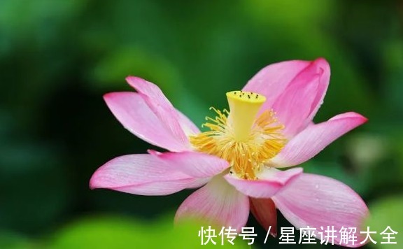 桃花运贼|步入12月底，霉运散好运来，4属相吉星伴身，日子美满幸福