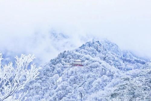 雾凇|点赞破百万的世界级雪景！雾凇云海，仿佛“误入天宫”，这里早该火了！