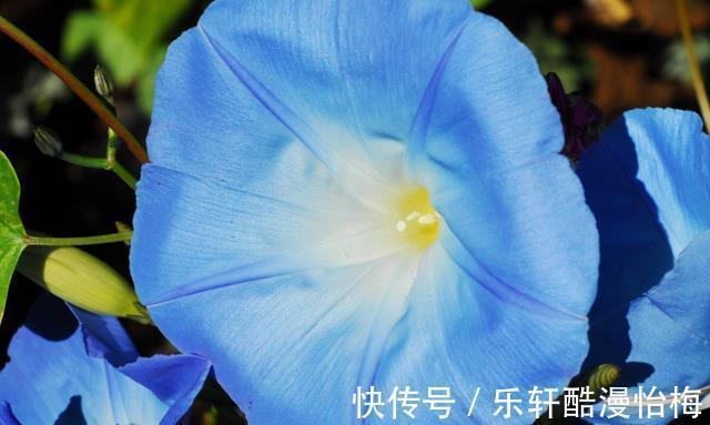 几天后 这几个星座会奔向前任 重见天日 陪你看细水长流 全网搜 几天后 这几个星座会奔向前任 重见天日 陪你看细水长流 全网搜