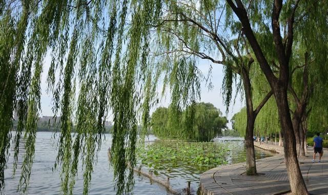 程颢$2首美到飞起的诗词,堪称千古绝唱,值得好好品读