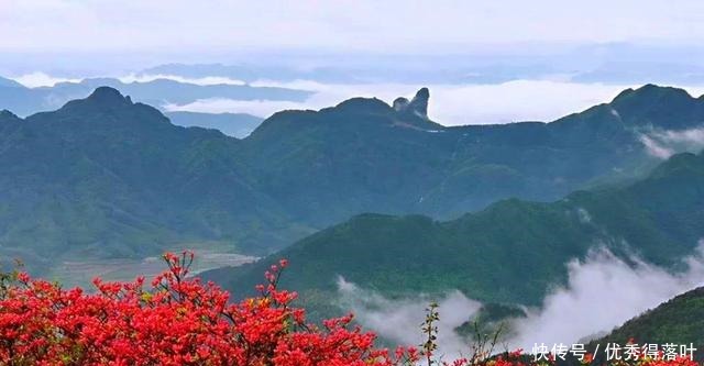 赏花|浙江一个适合登山赏花的景点，十万亩杜鹃花，四季如云！