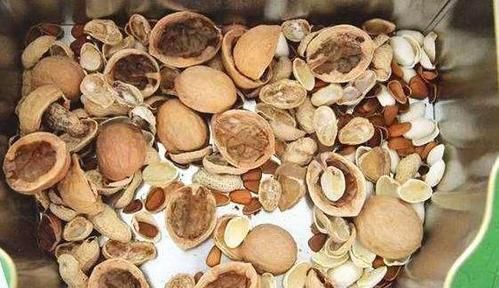 丝瓜瓤|花盆底部垫一层它,养花10年不烂根,你用过几种