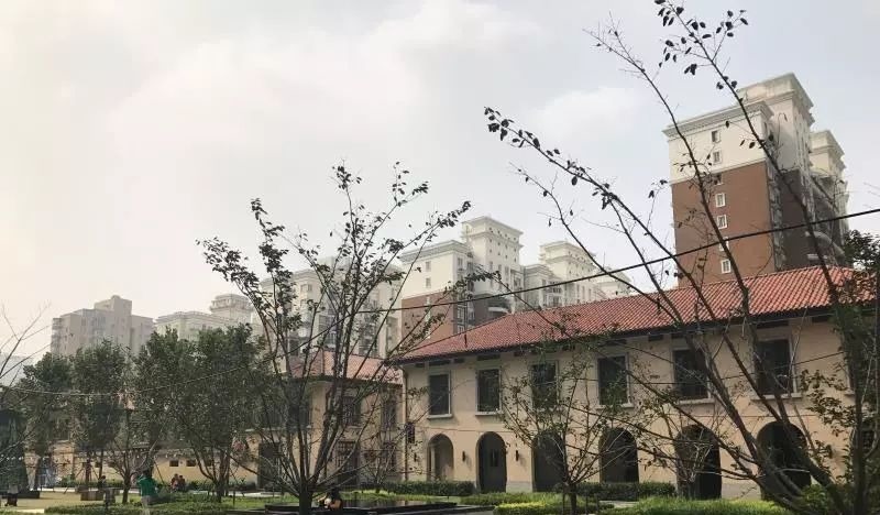 谢兰|林徽因的儿子陷于困境的时候，妻离子散，下放劳动！