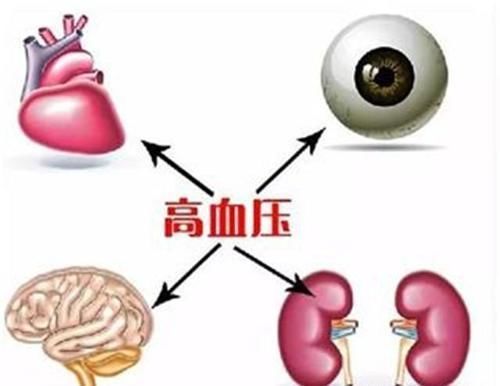 服用降压药|高血压补叶酸,吃多长时间合适?同型半胱氨酸高,多长时间复查?