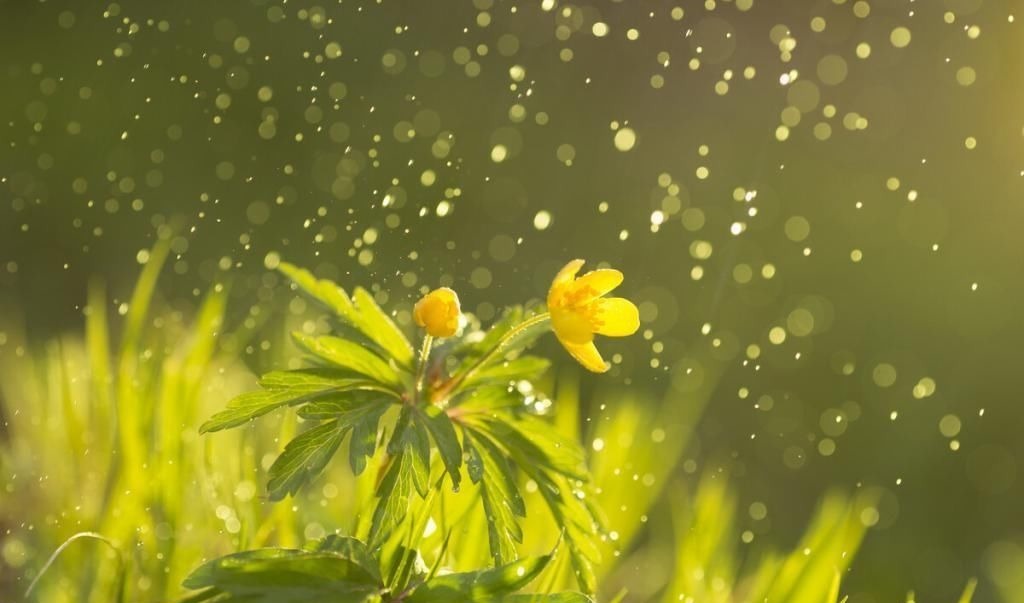 林霭！一首经典的咏雨诗，全诗无一个雨字，却句句写雨，淅沥沥下了千年