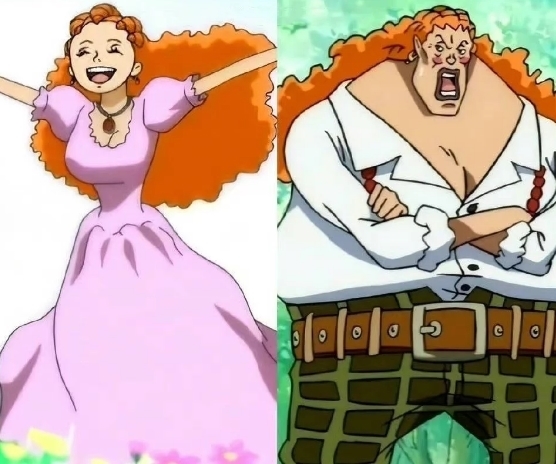 尾田|时间果然是把杀猪刀,海贼王世界里的女性都逃不过岁月的摧残