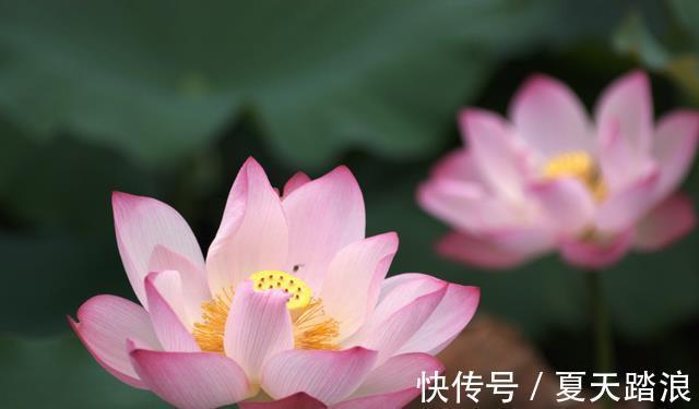 大雨|8月中下旬，生活上美满兴旺，越来越有钱，财如大雨降，五福齐聚