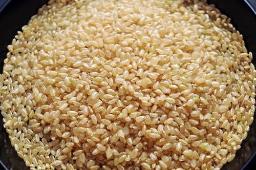 买大米，胚芽米和糙米哪种好吃？老农民教你2招，炒饭煮粥味道正