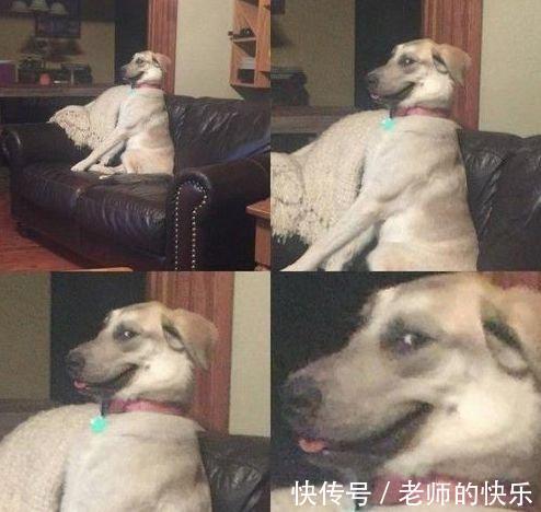 |搞笑趣图段子：妹子把筷子当吸管？