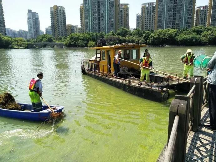 守护母亲河，我们这样做...|扮靓美丽河湖 | 梁溪河