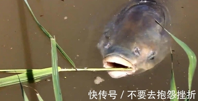 “人有路，鱼有道”，这3种地方别错过，堪称鱼儿必经之路