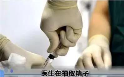 做试管婴儿的全部过程（附图解），看着都疼，可怜天下父母心