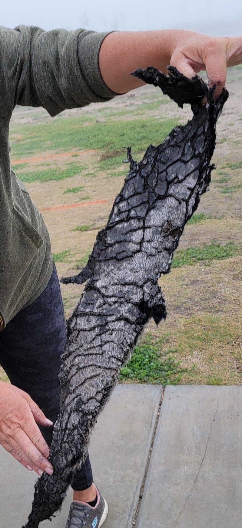 星舰飞船遭遇“4连炸”,马斯克:直接上SN15!