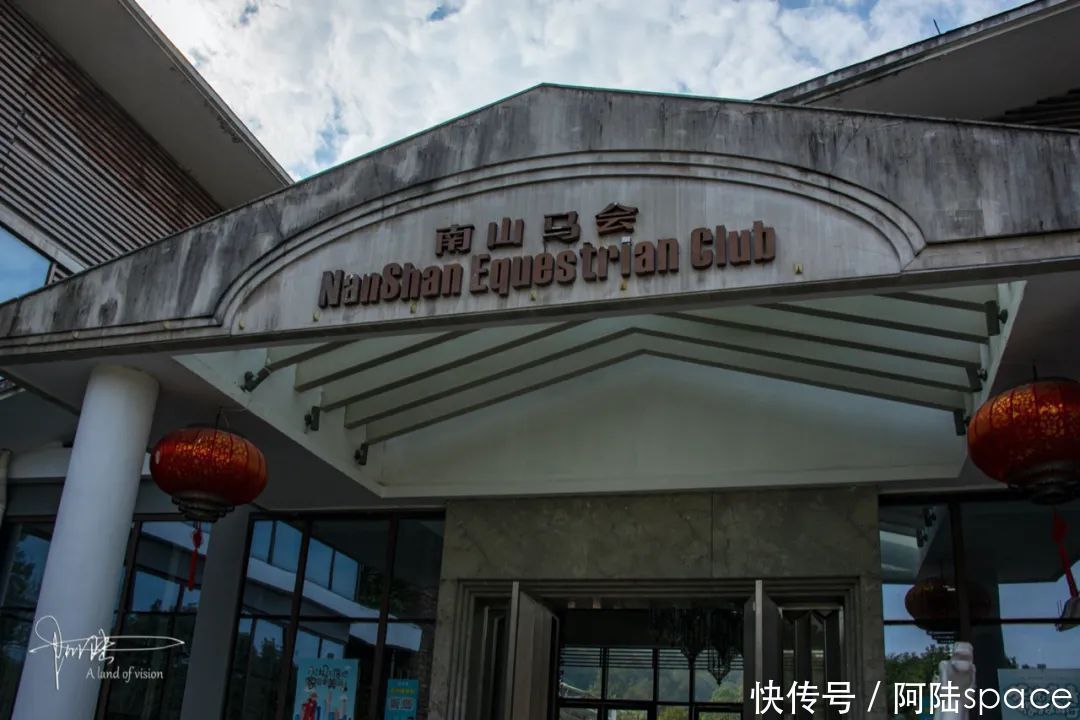  骑马|想体验骑马不一定要去内蒙古，在嘉兴南北湖就可以圆这个梦