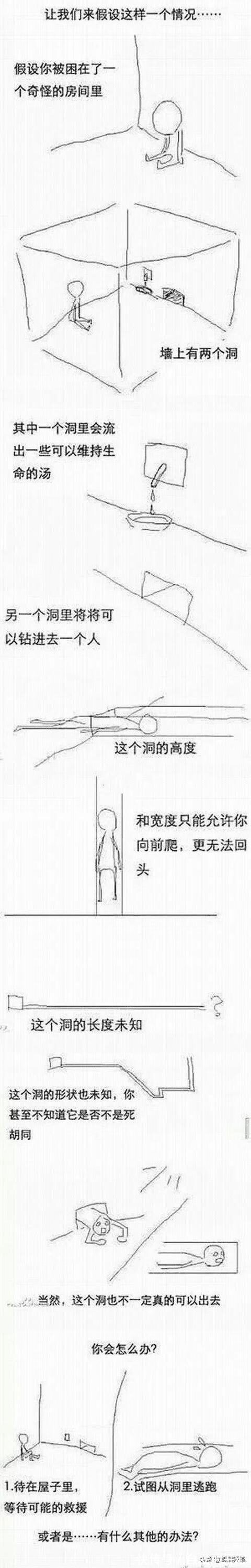 |搞笑段子：昨晚喝多了，向一个同事大姐表白，她同意了，怎么办？