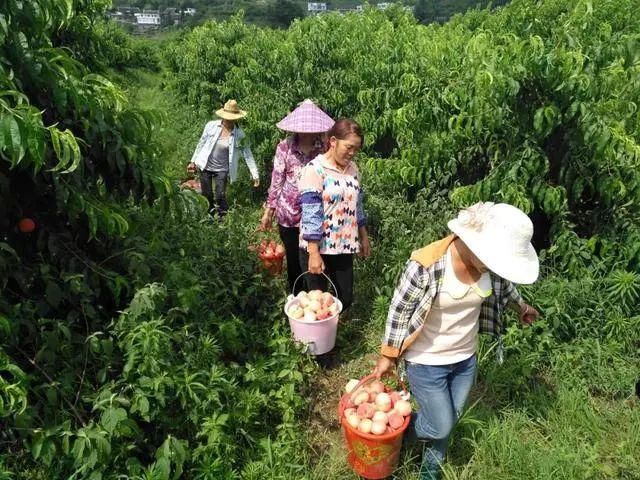 民宿|三都：体验民宿风情，感受原生态之美，怎能错过这些地方！