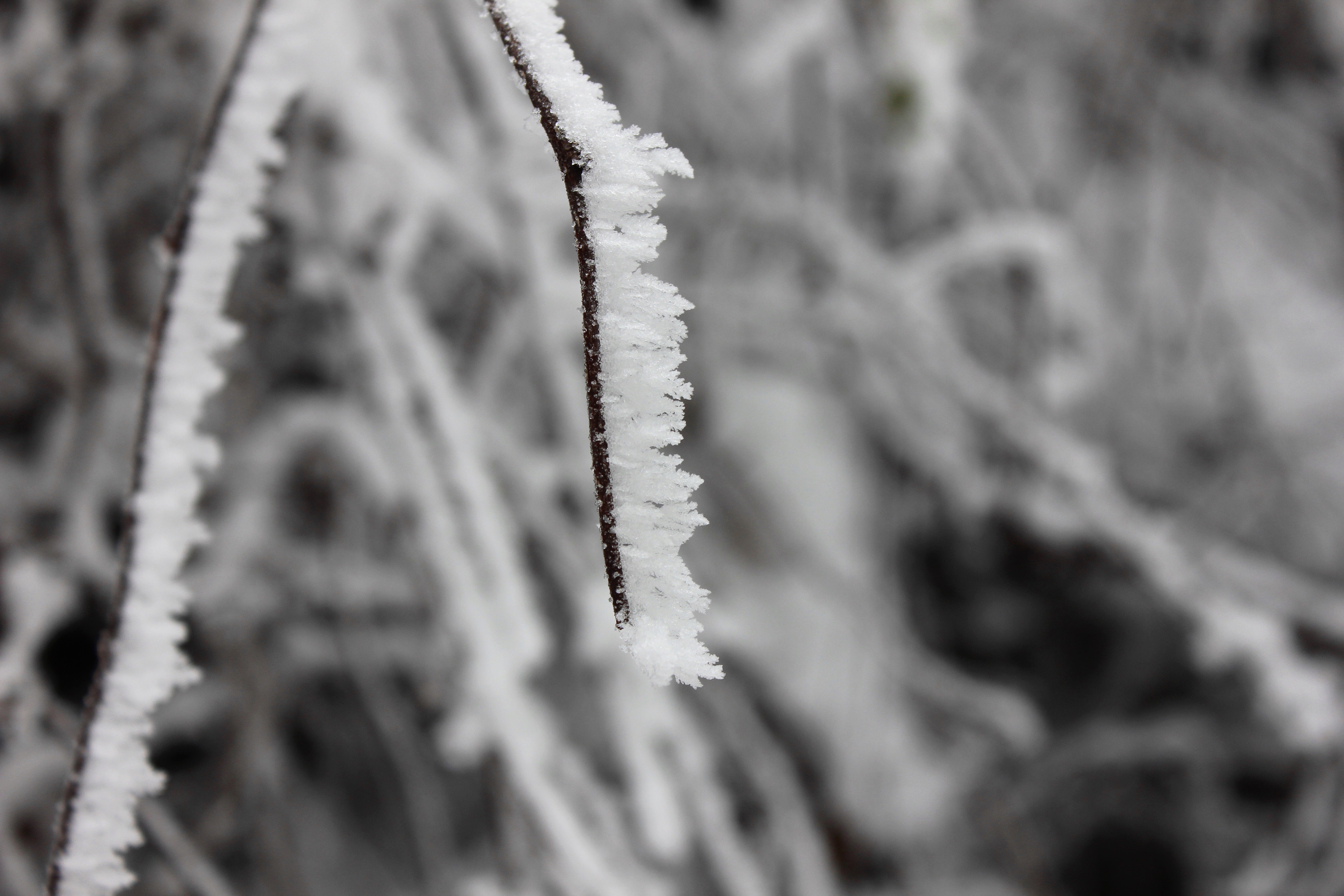 征集|【年末福利征集】雪后南五台幸遇云海