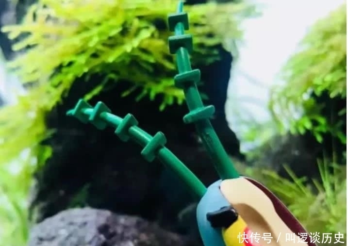 身体构造|海绵宝宝:海绵宝宝手办“出其不意”,只有半个身体,全是“骨感美”!