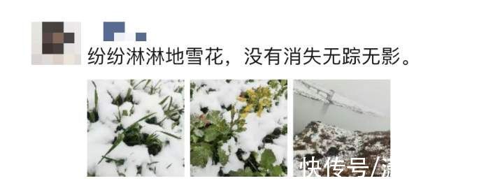 打雪仗|北方人：想不到我也有在朋友圈看南方下雪的一天