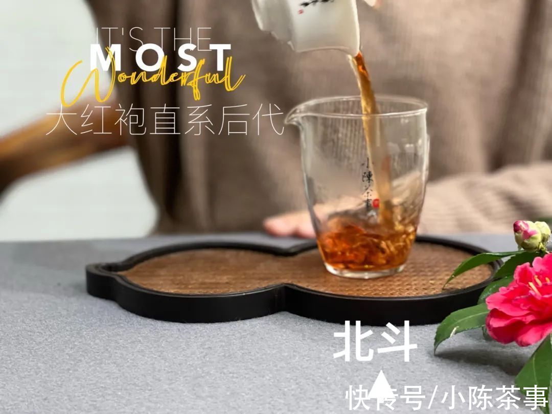 肉桂#从高仿泡袋，到“A货”岩茶，看武夷岩茶天价茶的“点石成金术”