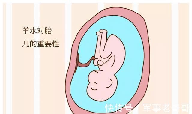 尿液|怀胎十月，胎儿的排泄物都去哪了？看完整个人都不好了