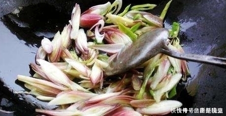南方1种野菜,叶子似生姜,我国很少人吃,出口日本被称亚洲人参