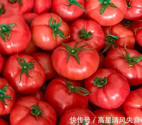持续高温|西红柿是水果还是蔬菜!
