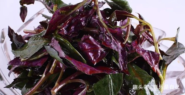 美容|想长寿要会吃,4种食物不错过,淡化皱纹,养颜美容,身体棒棒哒