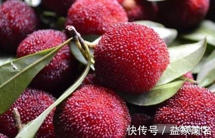 降低|降低新生儿黄疸，3种食物要少吃，第2个很多孕妈爱犯错