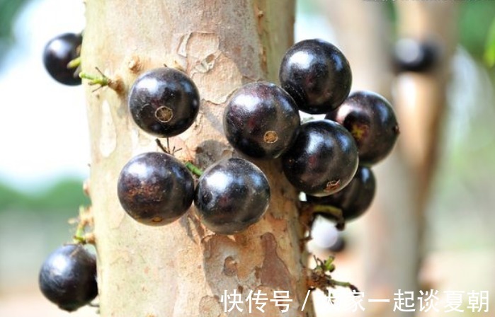 皱纹|女性过了40岁,可常吃此物,淡化皱纹,减淡色斑,肌肤显年轻