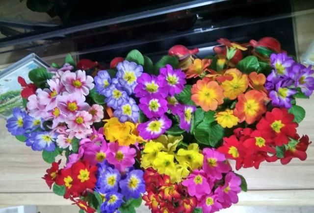 10种过年养的花，花市找不到，谁见了都稀罕