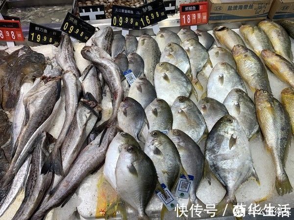 嫌弃|这种鱼总被人误解，比鲫鱼营养，却因冷冻被嫌弃