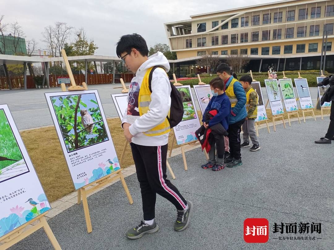 观鸟&成都小朋友观鸟：三小时“火眼金睛”记录45种鸟类