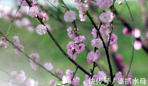 经典|人民日报:史上最高水平的5首诗词,首首经典,你会背吗