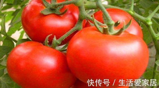 清肠|好吃又养生的3种食物,美容养颜,排毒清肠,滋润肌肤