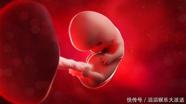 肉球|胎宝成型前的三个月，都在“忙”什么发育阶段挺神奇的！