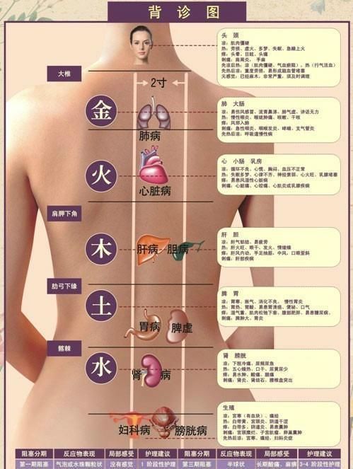 太全面了中医面诊+背诊+手诊知识精华，收藏了吧