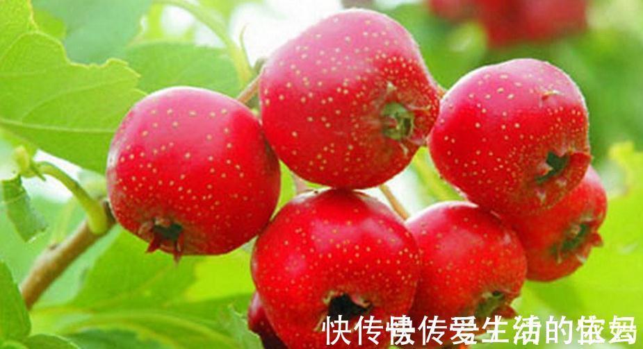 排毒养颜|聪明人爱吃三种食物,排毒养颜,改善体质,早吃早好!