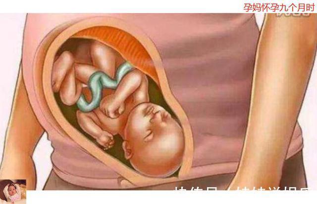 十月怀胎|母亲十月怀胎到底多辛苦十张图带你看孕育全过程,生命来之不易